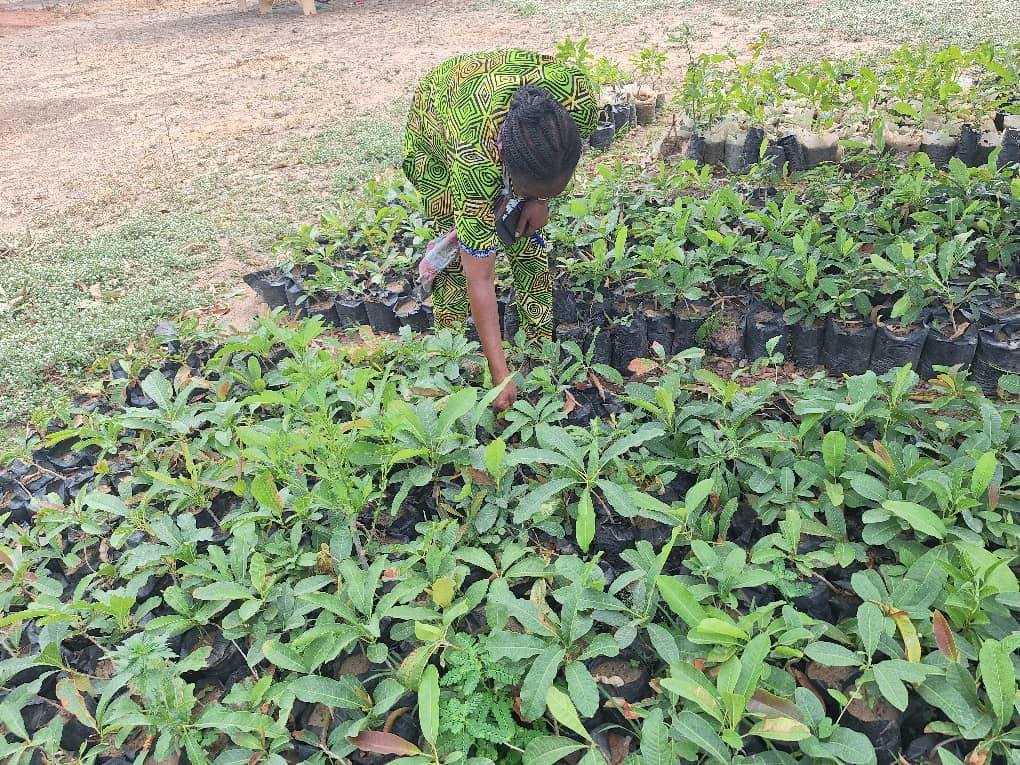 Farmer Based Organisation