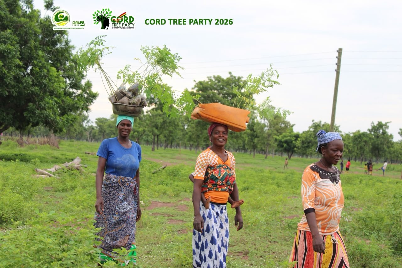 Women carrying tree seedlings at a CORD Ghana tree planting gathering