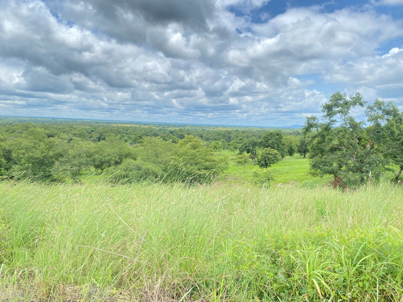 Environment
