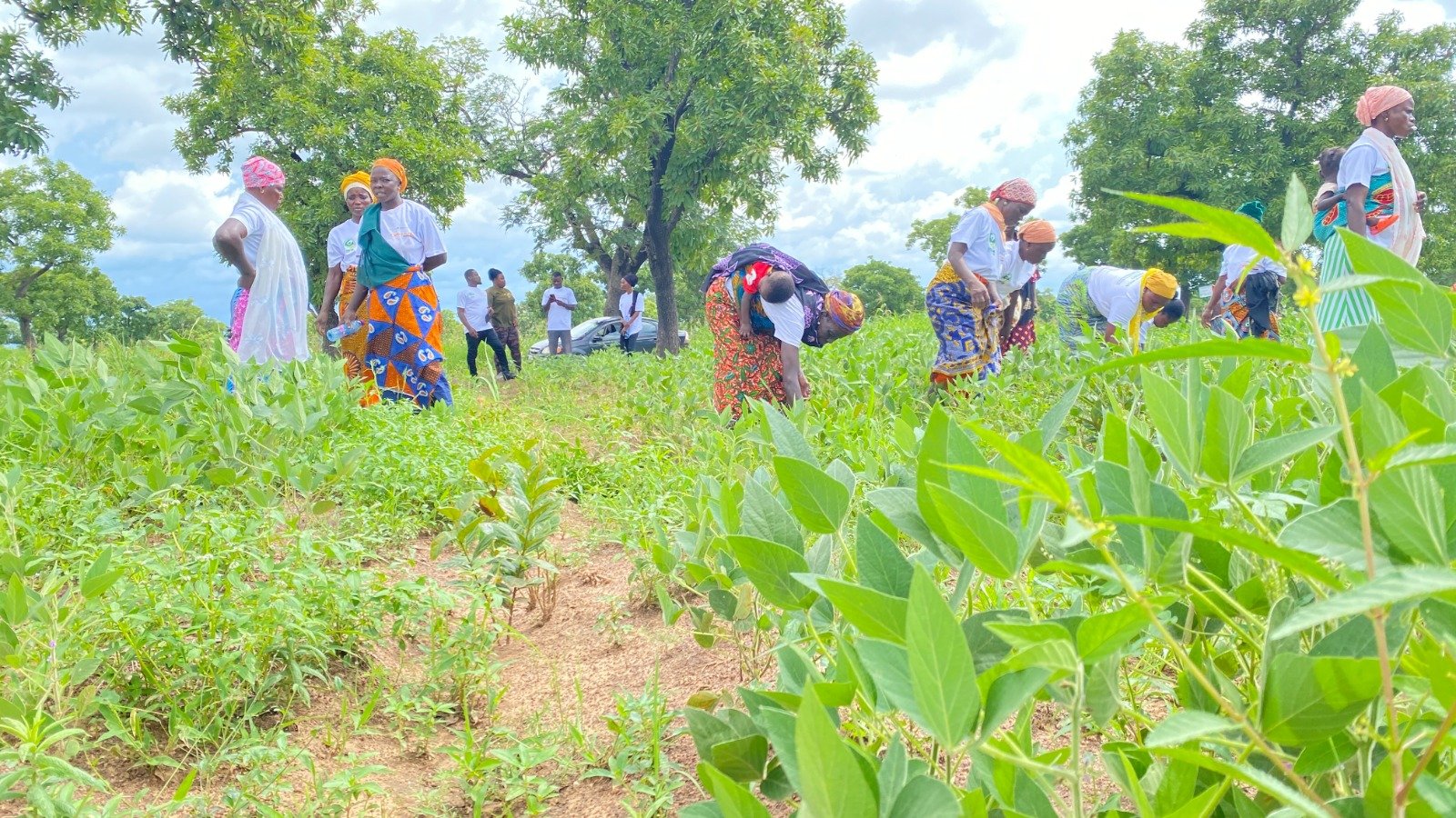 WOMEN GREEN VOICES PROJECT