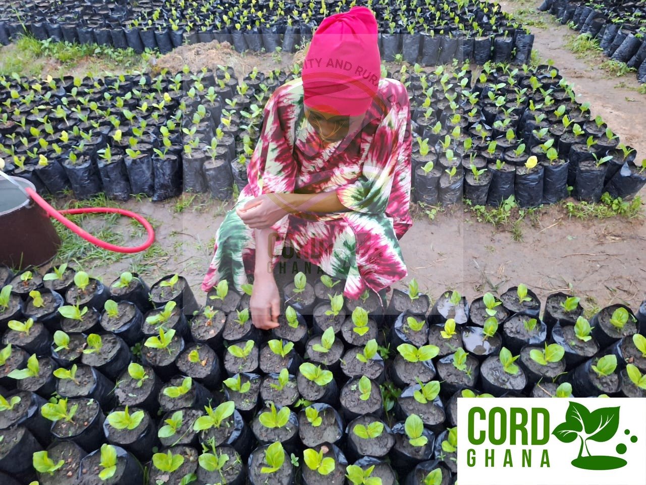 Green Skills and Entrepreneurship Development