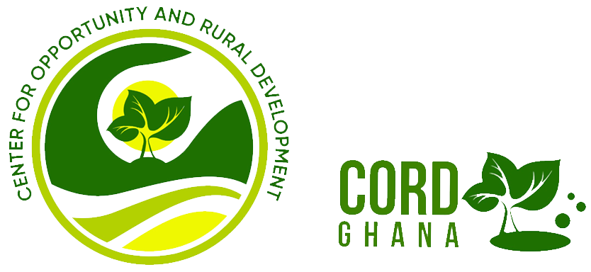Logo Design 2(1)